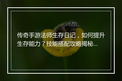 传奇手游法师生存日记，如何提升生存能力？技能搭配攻略揭秘！