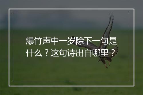 爆竹声中一岁除下一句是什么？这句诗出自哪里？