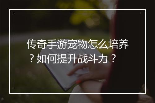 传奇手游宠物怎么培养？如何提升战斗力？