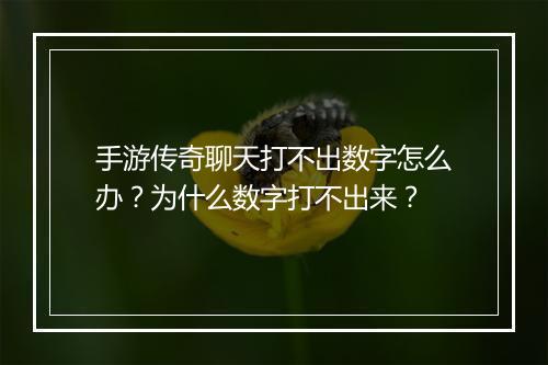 手游传奇聊天打不出数字怎么办？为什么数字打不出来？