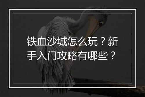 铁血沙城怎么玩？新手入门攻略有哪些？