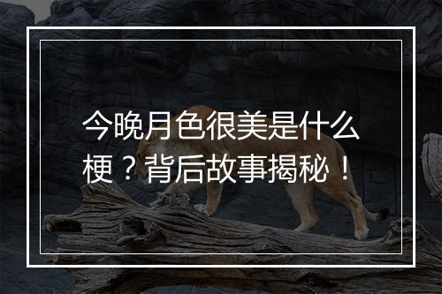 今晚月色很美是什么梗？背后故事揭秘！