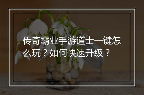 传奇霸业手游道士一键怎么玩？如何快速升级？