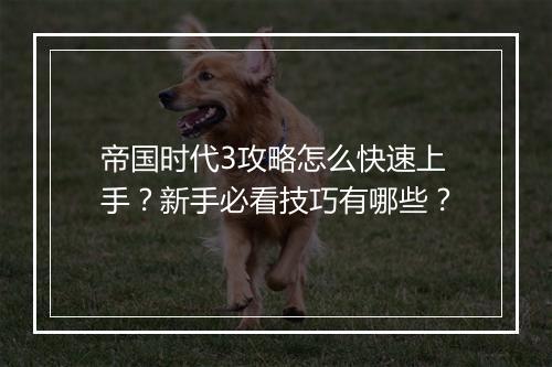 帝国时代3攻略怎么快速上手？新手必看技巧有哪些？
