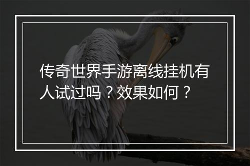 传奇世界手游离线挂机有人试过吗？效果如何？