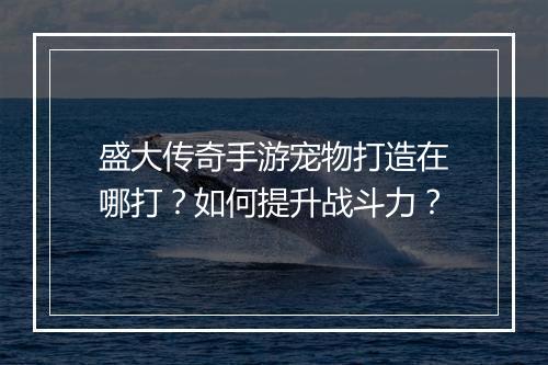 盛大传奇手游宠物打造在哪打？如何提升战斗力？