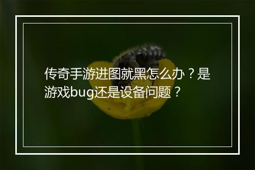 传奇手游进图就黑怎么办？是游戏bug还是设备问题？
