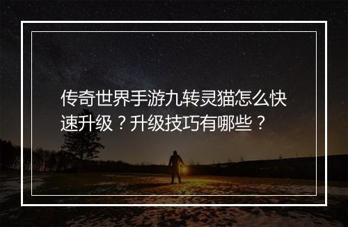 传奇世界手游九转灵猫怎么快速升级？升级技巧有哪些？
