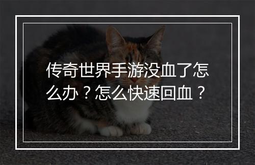 传奇世界手游没血了怎么办？怎么快速回血？
