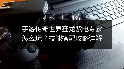 手游传奇世界狂龙紫电专家怎么玩？技能搭配攻略详解