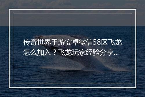 传奇世界手游安卓微信58区飞龙怎么加入？飞龙玩家经验分享？