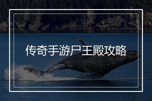 传奇手游尸王殿攻略