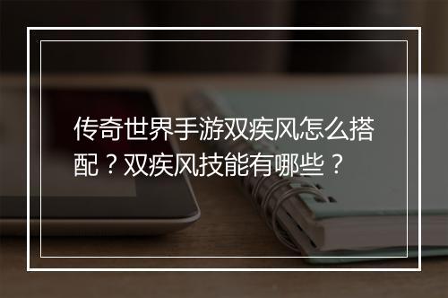 传奇世界手游双疾风怎么搭配？双疾风技能有哪些？