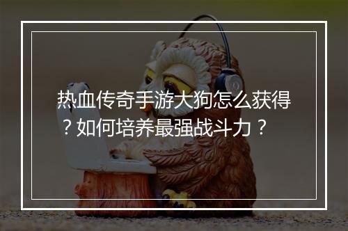 热血传奇手游大狗怎么获得？如何培养最强战斗力？