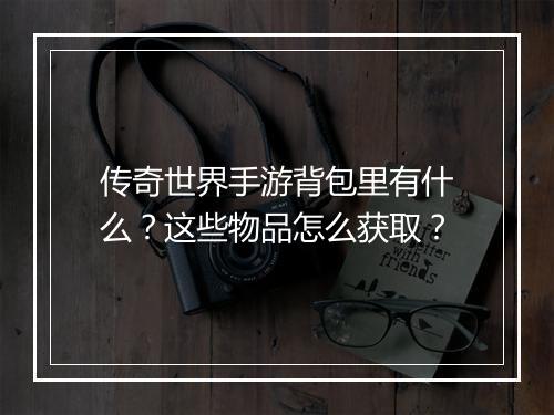 传奇世界手游背包里有什么？这些物品怎么获取？