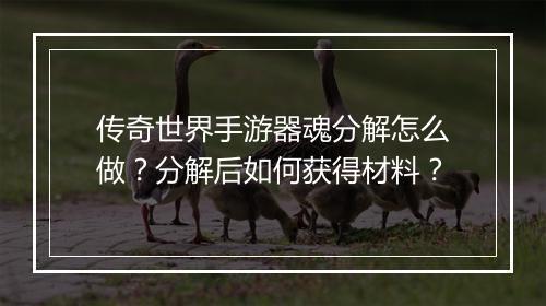 传奇世界手游器魂分解怎么做？分解后如何获得材料？