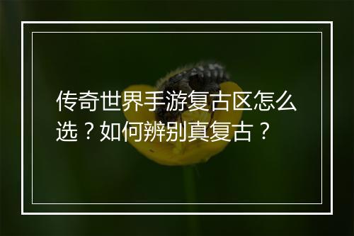 传奇世界手游复古区怎么选？如何辨别真复古？