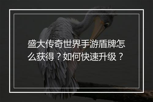 盛大传奇世界手游盾牌怎么获得？如何快速升级？