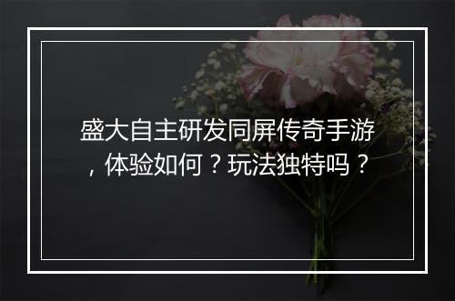 盛大自主研发同屏传奇手游，体验如何？玩法独特吗？