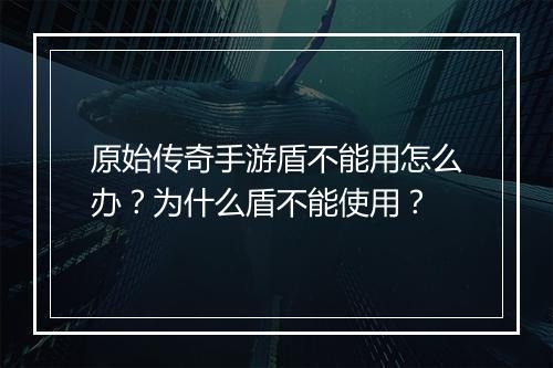 原始传奇手游盾不能用怎么办？为什么盾不能使用？