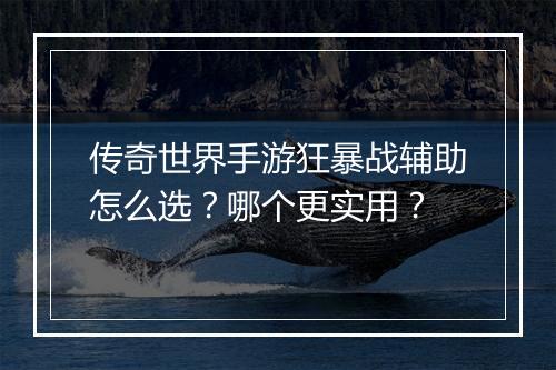 传奇世界手游狂暴战辅助怎么选？哪个更实用？