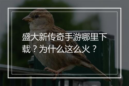 盛大新传奇手游哪里下载？为什么这么火？