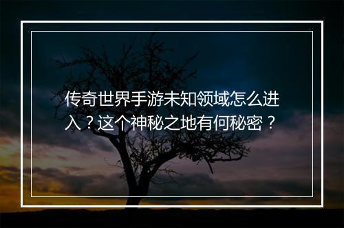 传奇世界手游未知领域怎么进入？这个神秘之地有何秘密？