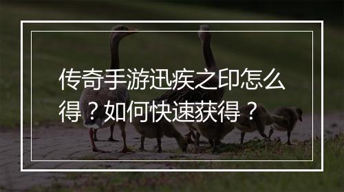 传奇手游迅疾之印怎么得？如何快速获得？