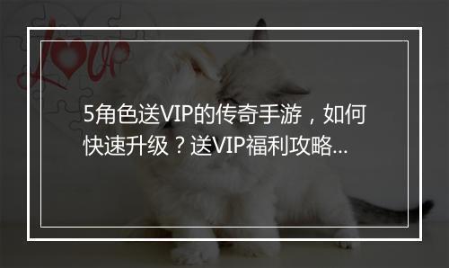 5角色送VIP的传奇手游，如何快速升级？送VIP福利攻略！