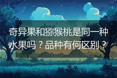 奇异果和猕猴桃是同一种水果吗？品种有何区别？