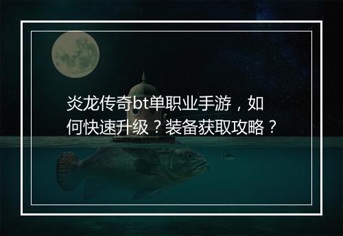 炎龙传奇bt单职业手游，如何快速升级？装备获取攻略？