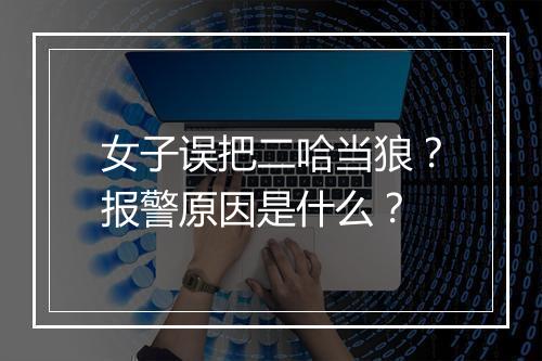 女子误把二哈当狼？报警原因是什么？