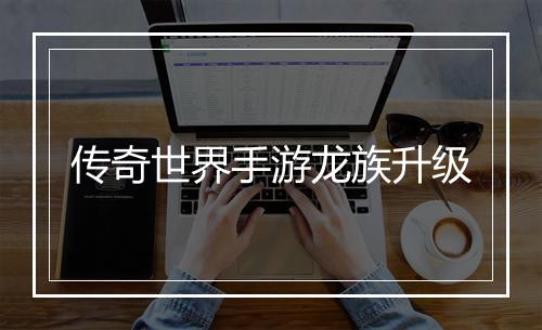 传奇世界手游龙族升级