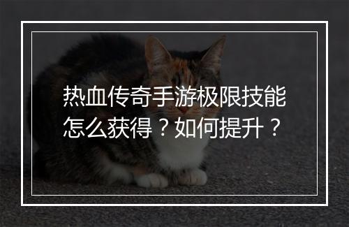 热血传奇手游极限技能怎么获得？如何提升？