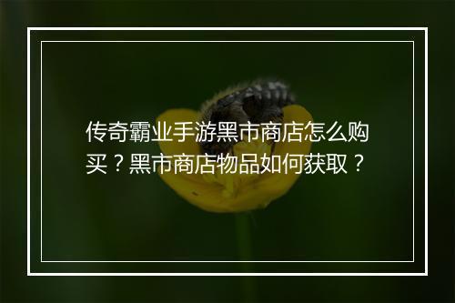 传奇霸业手游黑市商店怎么购买？黑市商店物品如何获取？