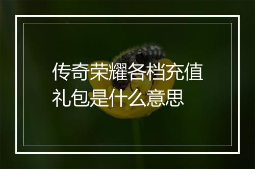 传奇荣耀各档充值礼包是什么意思