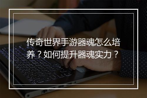 传奇世界手游器魂怎么培养？如何提升器魂实力？