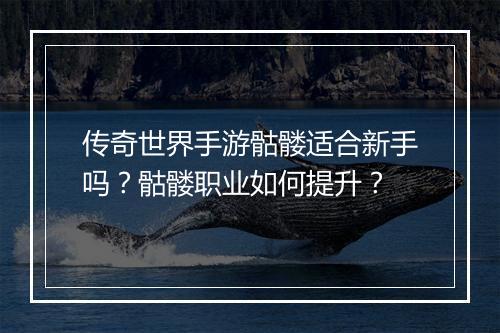 传奇世界手游骷髅适合新手吗？骷髅职业如何提升？