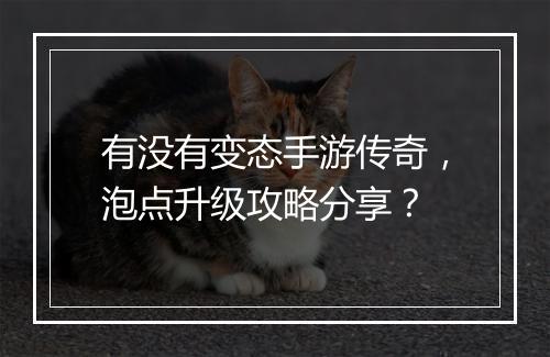 有没有变态手游传奇，泡点升级攻略分享？
