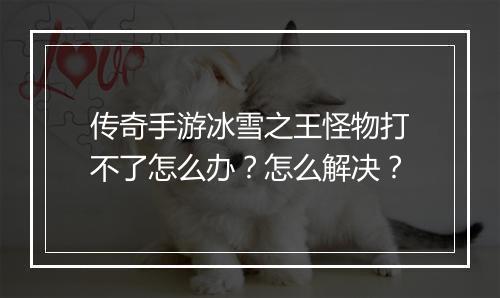 传奇手游冰雪之王怪物打不了怎么办？怎么解决？