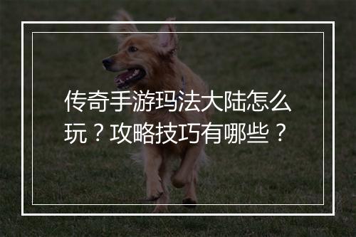 传奇手游玛法大陆怎么玩？攻略技巧有哪些？