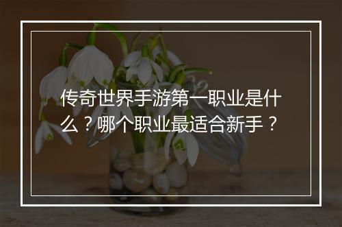 传奇世界手游第一职业是什么？哪个职业最适合新手？