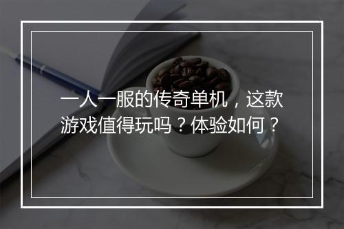 一人一服的传奇单机，这款游戏值得玩吗？体验如何？