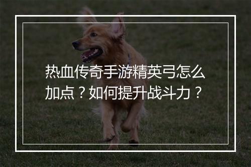 热血传奇手游精英弓怎么加点？如何提升战斗力？