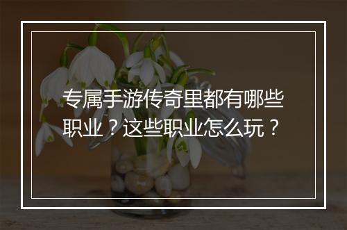 专属手游传奇里都有哪些职业？这些职业怎么玩？