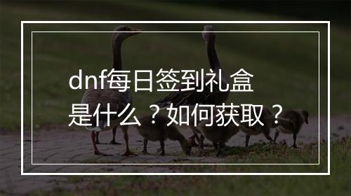 dnf每日签到礼盒是什么？如何获取？