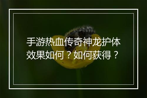 手游热血传奇神龙护体效果如何？如何获得？