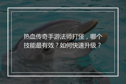 热血传奇手游法师打怪，哪个技能最有效？如何快速升级？