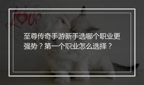 至尊传奇手游新手选哪个职业更强势？第一个职业怎么选择？