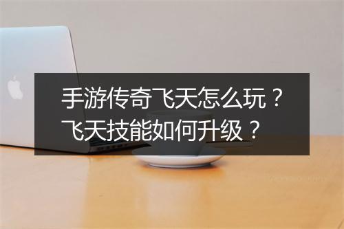 手游传奇飞天怎么玩？飞天技能如何升级？